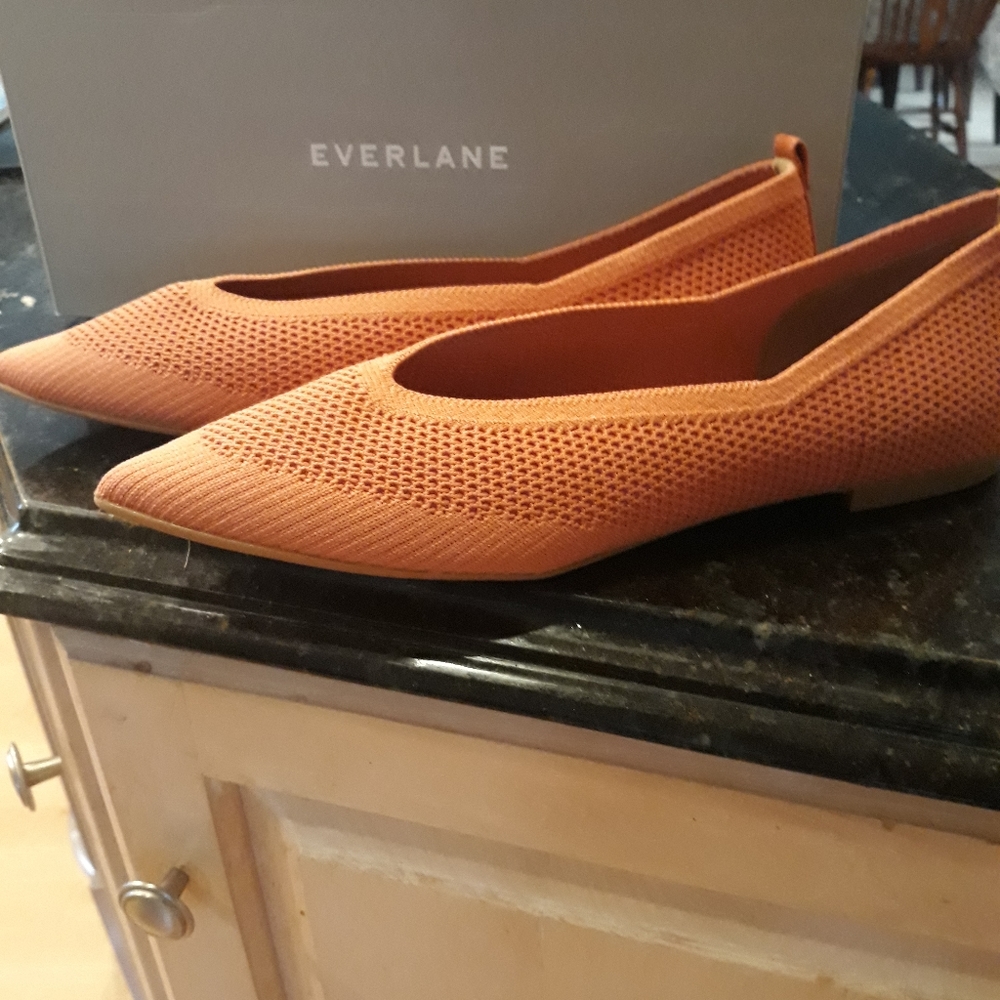 Simple coral/rose knit flat from Everlane. Knit material, point toe.